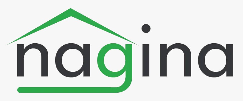 Nagina Pest Control Services Dubai